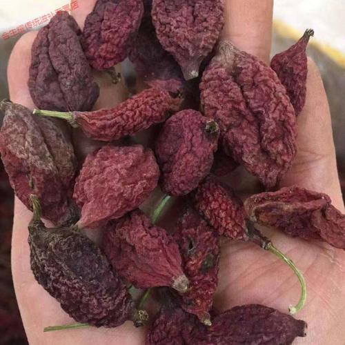 载缘记鬼臼果西藏野外生长桃儿七无硫四川中药原材料市场野外生长500