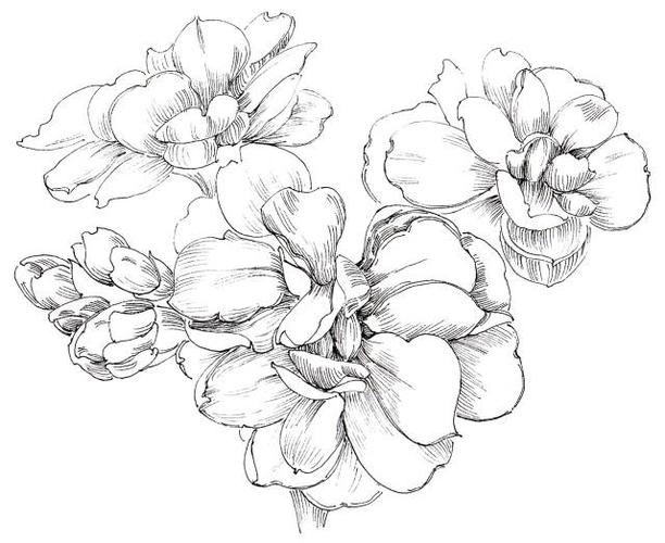 教程丨在纸上盛开的紫罗兰