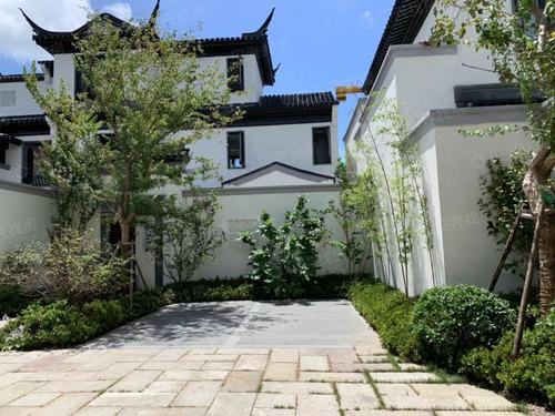 蓝城春风江南相册