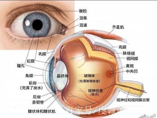 你知道眼睛的结构吗?激光手术的机制是什么?