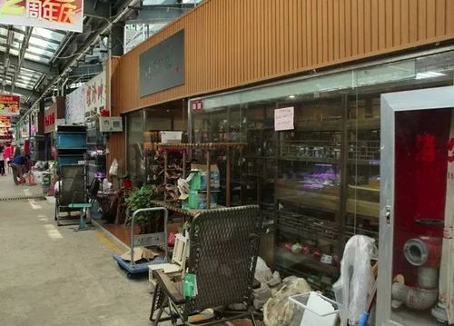 春天,我想把徐州的花鸟鱼虫市场逛个遍