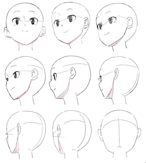 卡通动漫人体头部结构素材