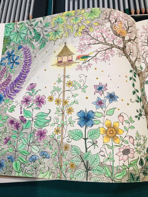 秘密花园涂色_秘密花园_人文_绘画