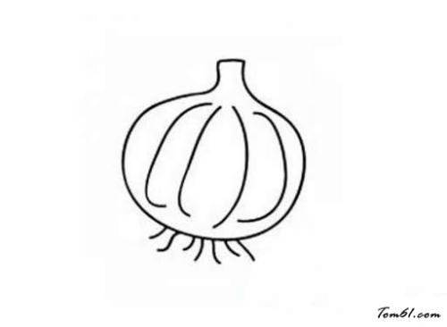 大蒜发黄的简笔画