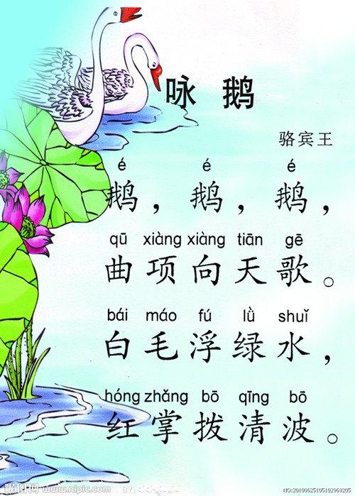 古诗咏鹅简笔画 第3页