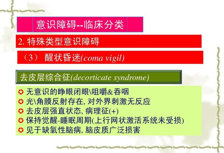 意识障碍分级ppt