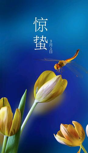 二十四节气之惊蛰 春天真的来了