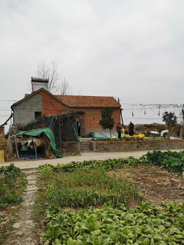 其它 我的老家 写美篇 建湖县高作镇陈甲村(原陈吕村)四组,是我的老家