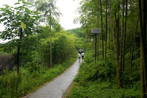 写美篇 摄影制作:冰圈(网名) 拍摄地点:江苏宜兴龙池山 拍摄时间:2020