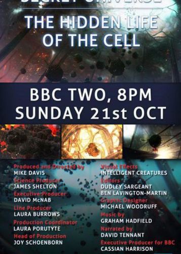 bbc the cell 第二集 生命的化学 the chemistry of life影评
