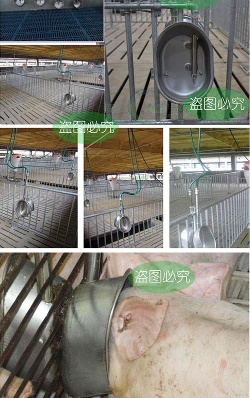 不锈钢猪用饮水碗304不锈钢仔猪饮水槽自动饮水器饮水嘴养猪设备