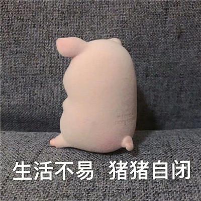 猪猪表情包生活不易猪猪自闭