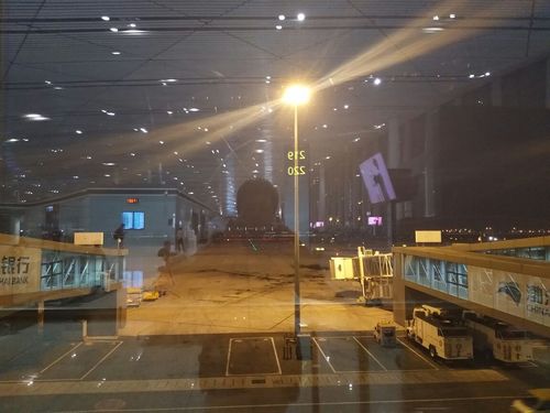 2019万州五桥机场_旅游攻略_门票_地址_游记点评,重庆