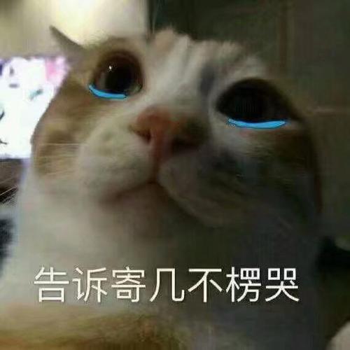 沙雕表情包
