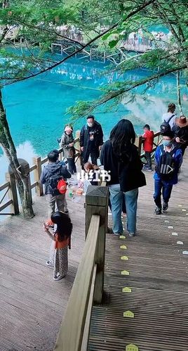 2021年7月3日九寨沟天气气温,穿什么衣服_树正群海自由行热门攻略