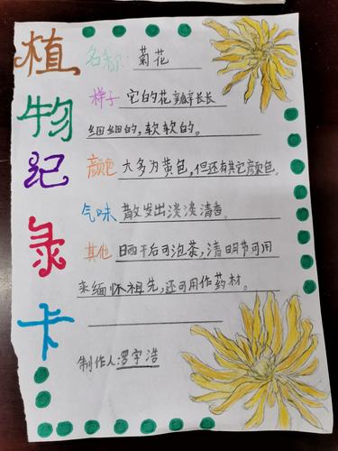 记三八班制作"植物记录卡"