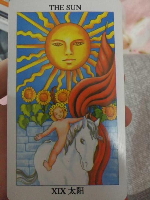 塔罗牌日记40