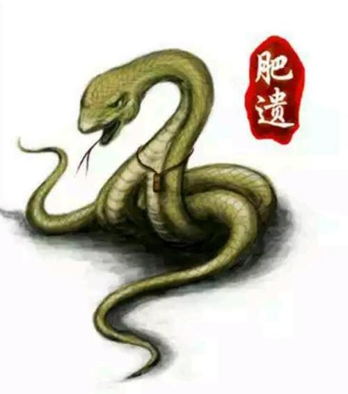 山海经异兽录全图