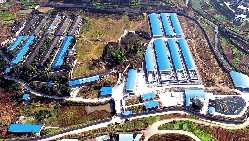 重庆永安畜牧养殖基地