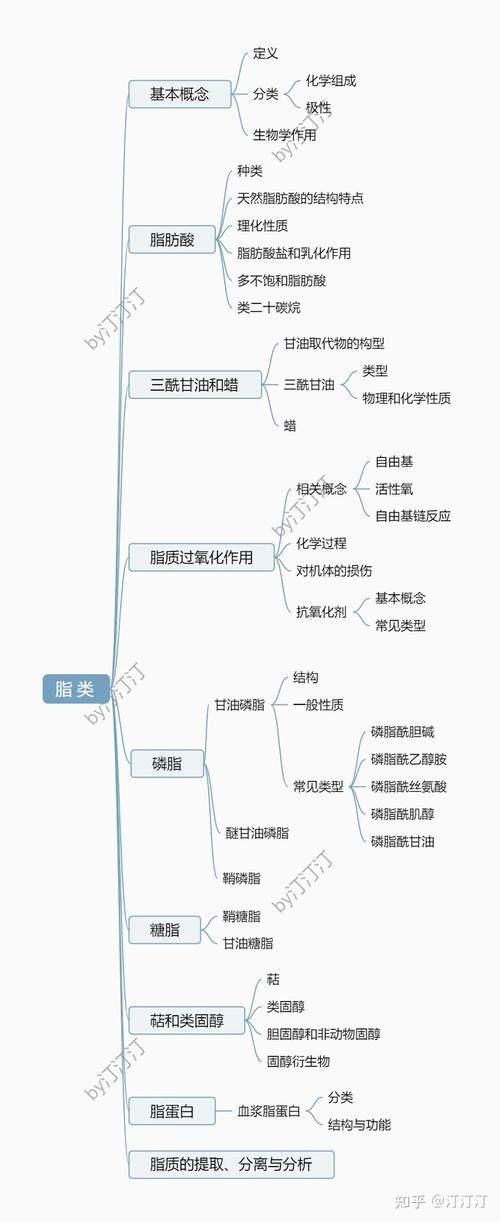 考研生物化学-思维导图