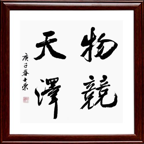 物竞天择适者生存实力派书法真迹客厅办公室外框50cm