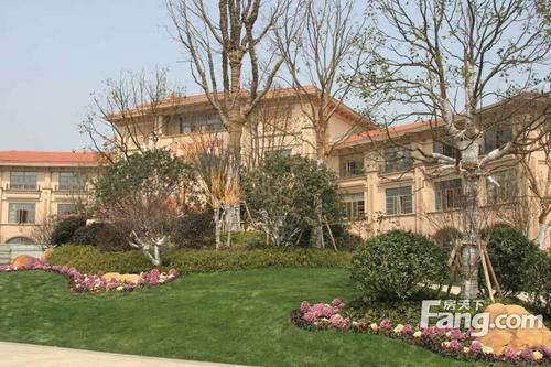 房价 网 苏州二手房 吴江区 中南世纪城 中南世纪城 65号楼 现房 精