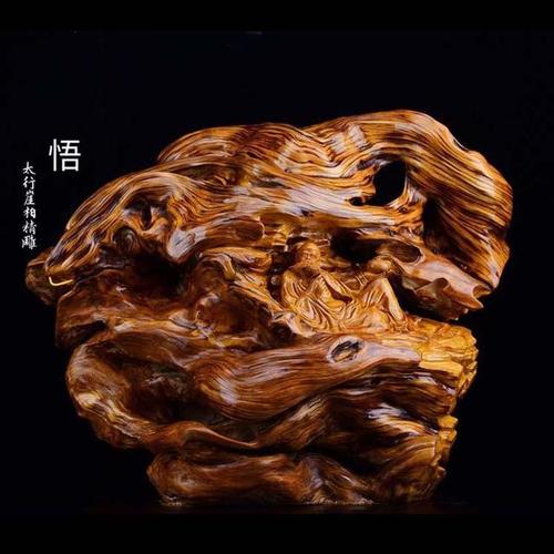 跌落神坛的太行崖柏