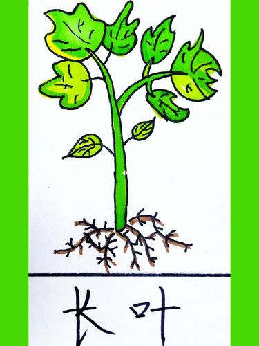 技师学院自由行热门攻略_机械_素描_铅笔_马克笔_折叠画_文化_绘画