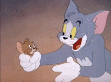 tom and jerry