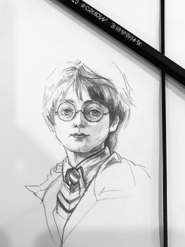 哈利·波特|速写|原创_速写_哈利波特_文化_绘画