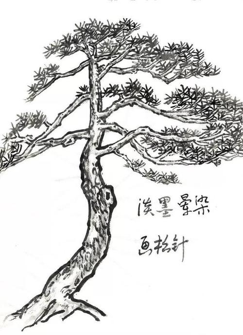 松树带雪的简笔画