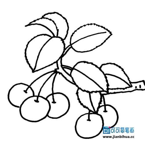 樱桃图片简笔画