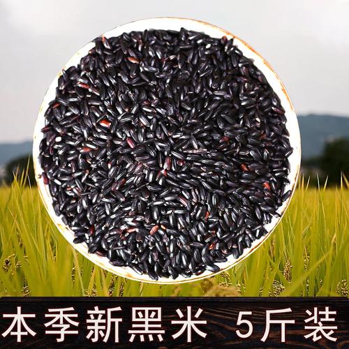 正宗新黑米黑香米黑大米东北农家五谷杂粮黑米粥黑糯米粗粮5斤