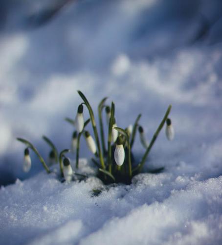 春之伊始,万物复苏——今日立春
