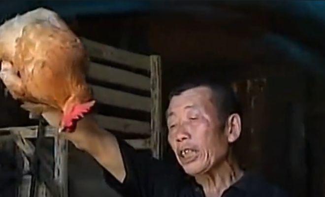 湖南老汉施展祖传招蛇术毒蛇瞬间乖乖出来就擒让人叹为观止