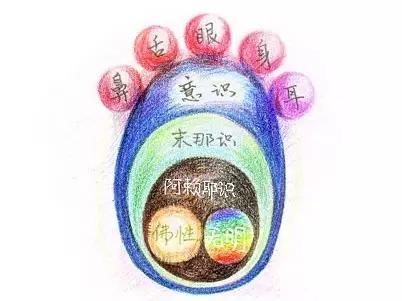 四念处观受是苦