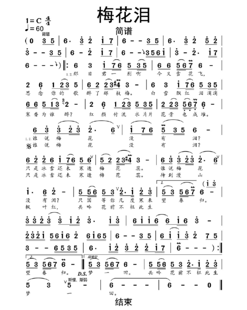 梅花泪简谱乐谱