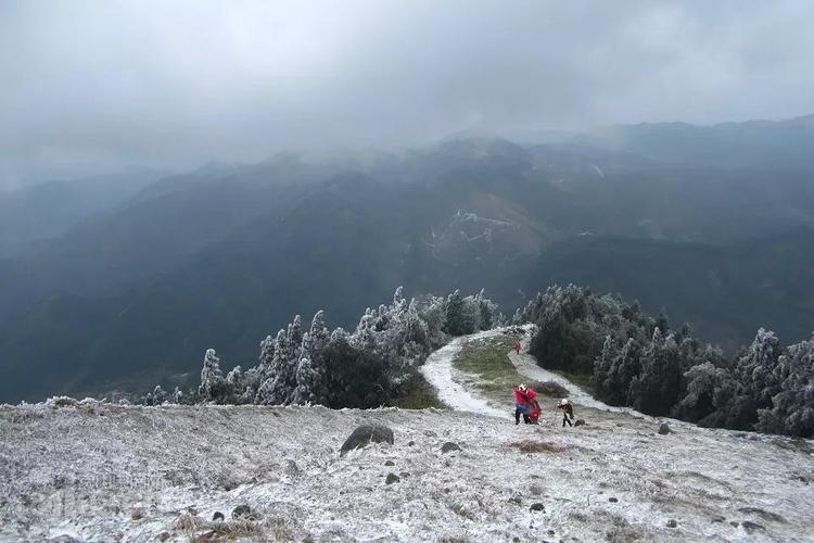 如果说东山雪景好看,那罗阳山就是壮观
