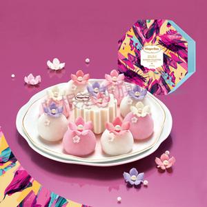 哈根达斯冰淇淋月饼