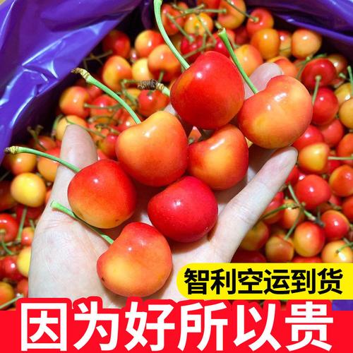 现货智利黄金车厘子三勾1j2j3j特大果雷尼尔黄樱桃新鲜水果包邮