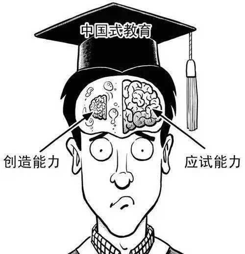 当前教育的弊端是应试教育?不,是好奇心和求知欲的丧失