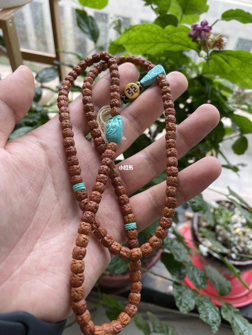 佛手小金刚_手串_文玩_文玩手串_兴趣爱好_兴趣爱好