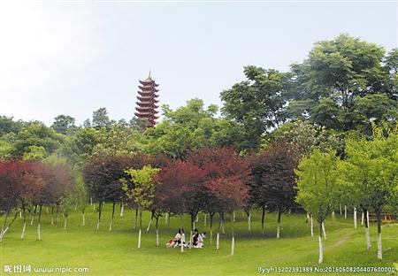 照母山森林公园