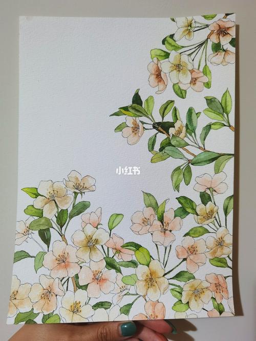 水彩《海棠花》步骤_水彩_钢笔_文化_绘画