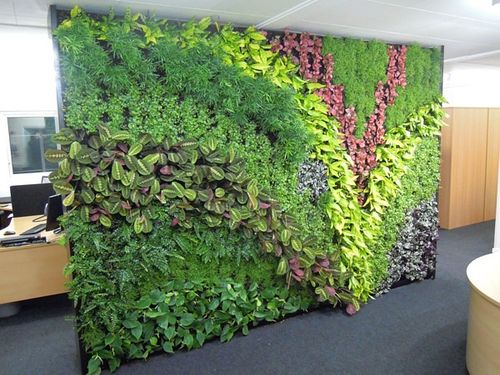江西垂直绿化植物墙的用途