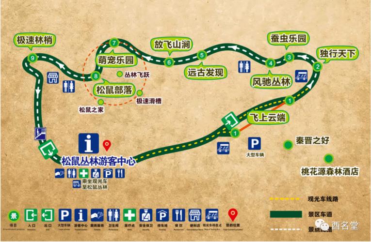 酉阳松鼠丛林乐园5月1日开园!