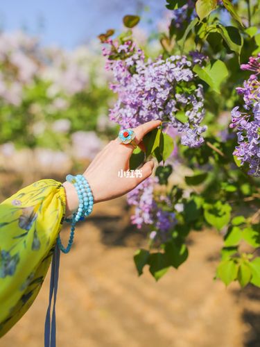 故宫拍照第二辑·避开人潮寻找有意境的角落_故宫_故宫_拍照_首饰