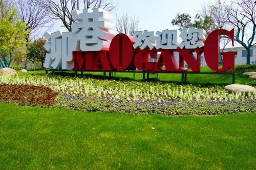 中国美丽乡村十大模式之城郊集约型:上海市松江区泖港