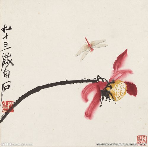 齐白石 国画 荷花蜻蜓图图片