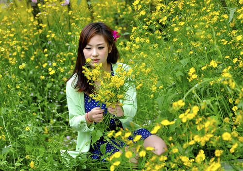 美女风景鲜花图片大全